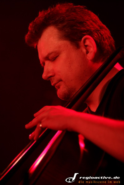 Pohlmann (live in Mannheim, 2011)
